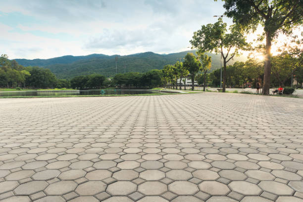 Best Brick Driveway Pavers  in Norridge, IL
